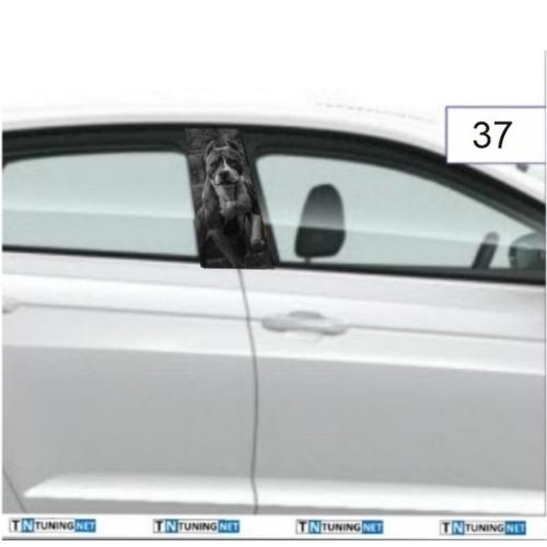 TN DİREK FOLYOSU MODEL:37 RAHİBE